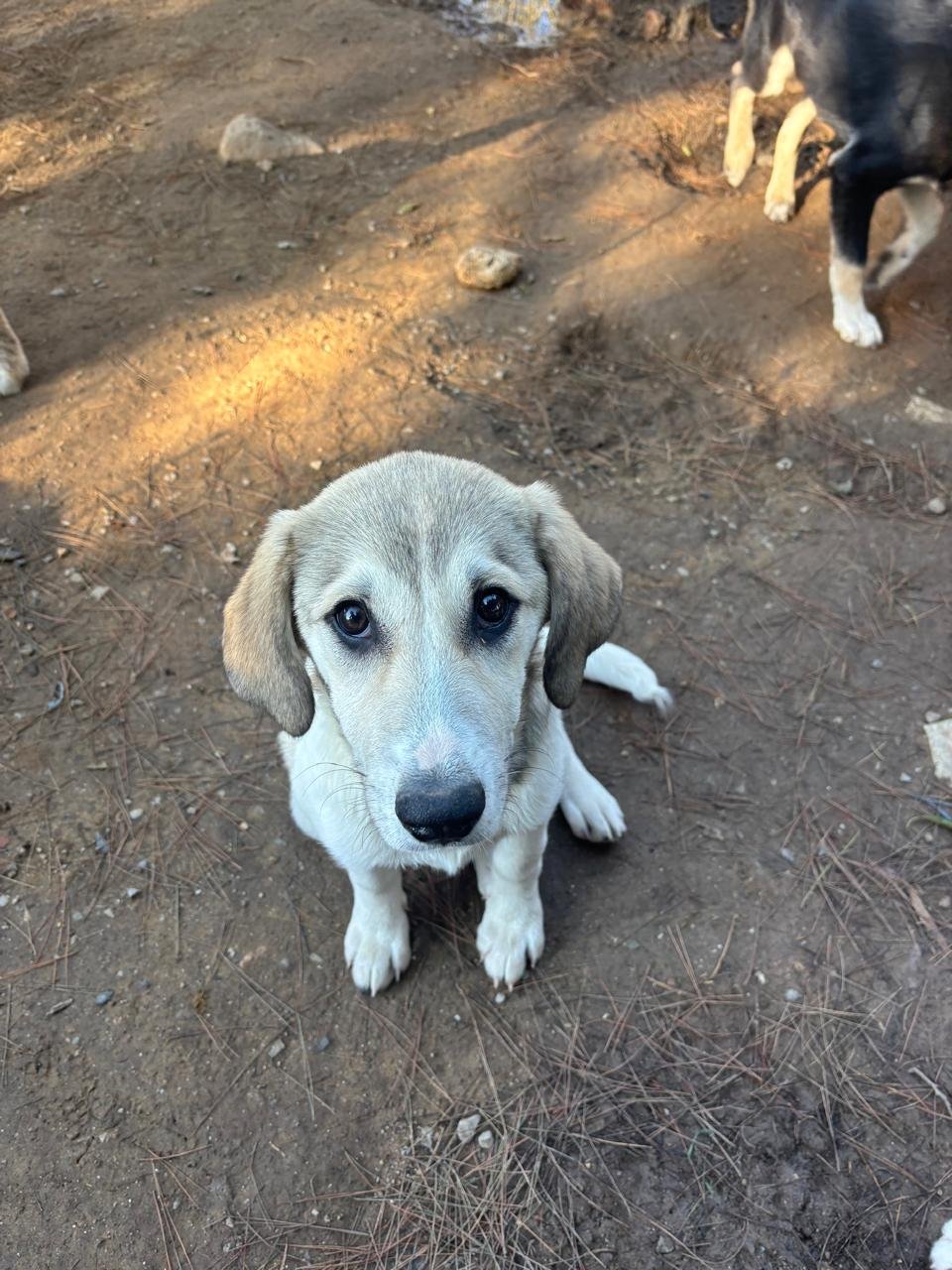 WhatsApp Bild 2025-12-09 um 13.39.56_6f204da6.jpg