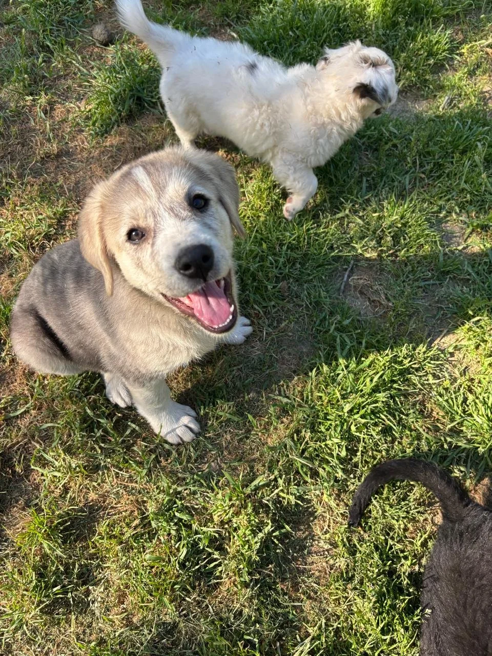 tati23.jpg