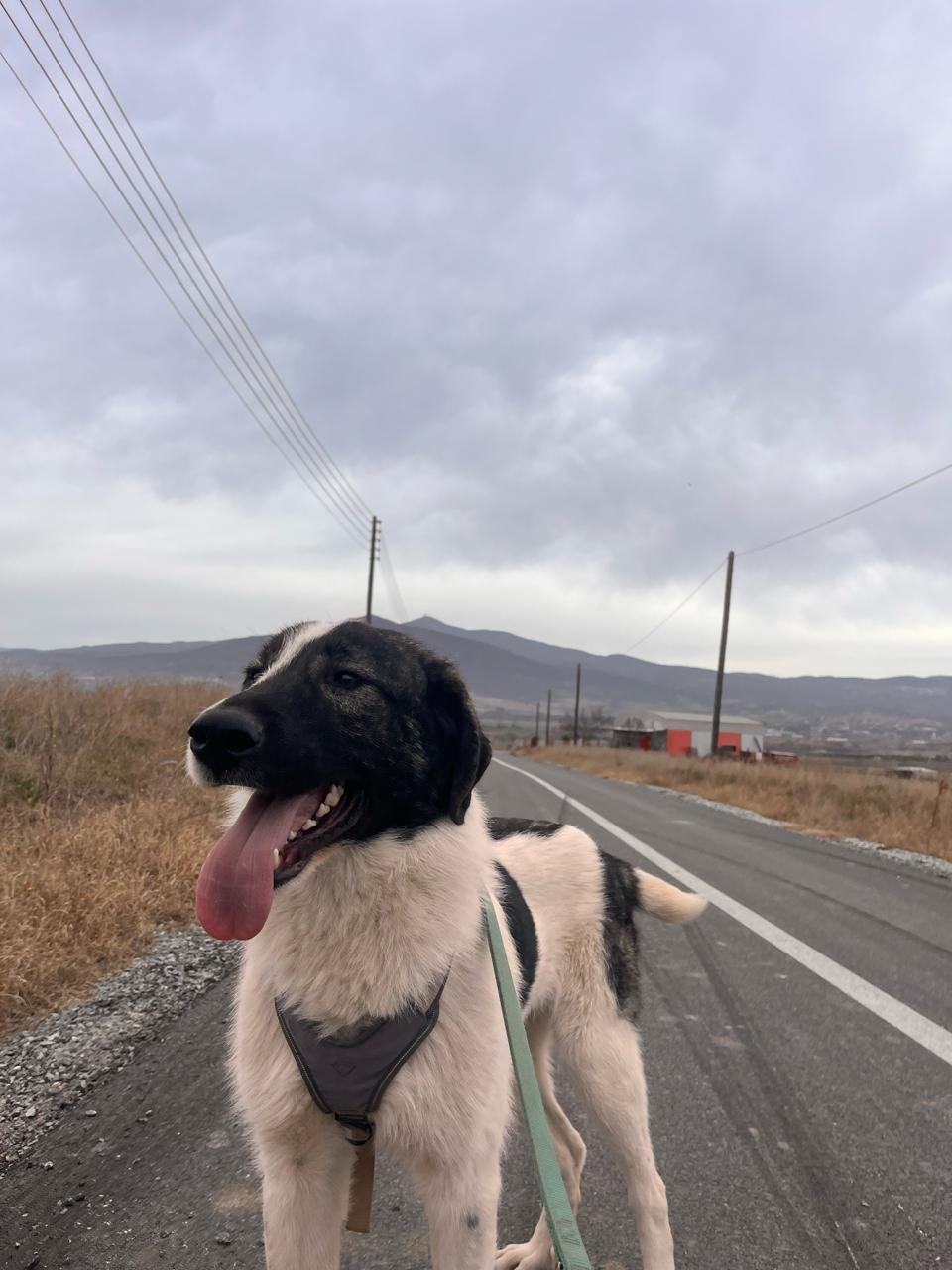 cesar1.jpg