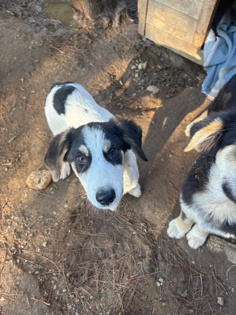 WhatsApp Bild 2025-12-09 um 13.41.53_0251864d.jpg