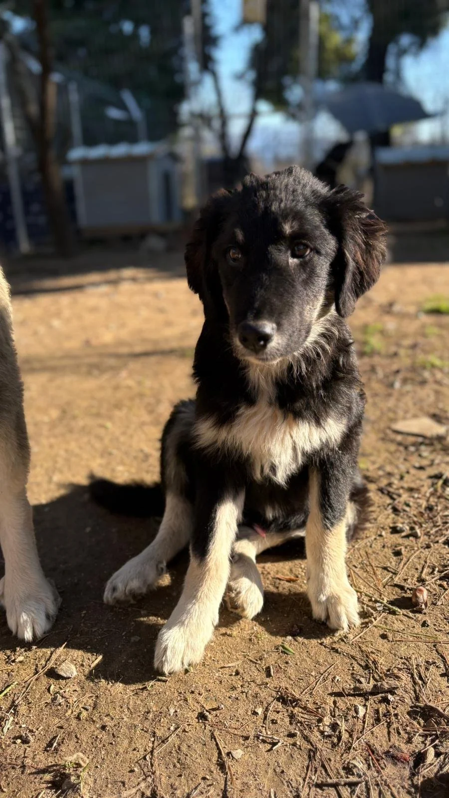 WhatsApp Image 2025-12-27 at 17.57.27.jpeg