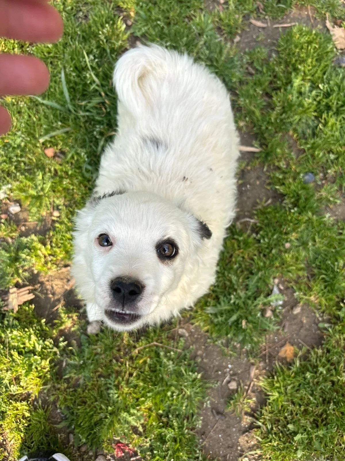 WhatsApp Image 2026-04-05 at 16.36.08.jpeg