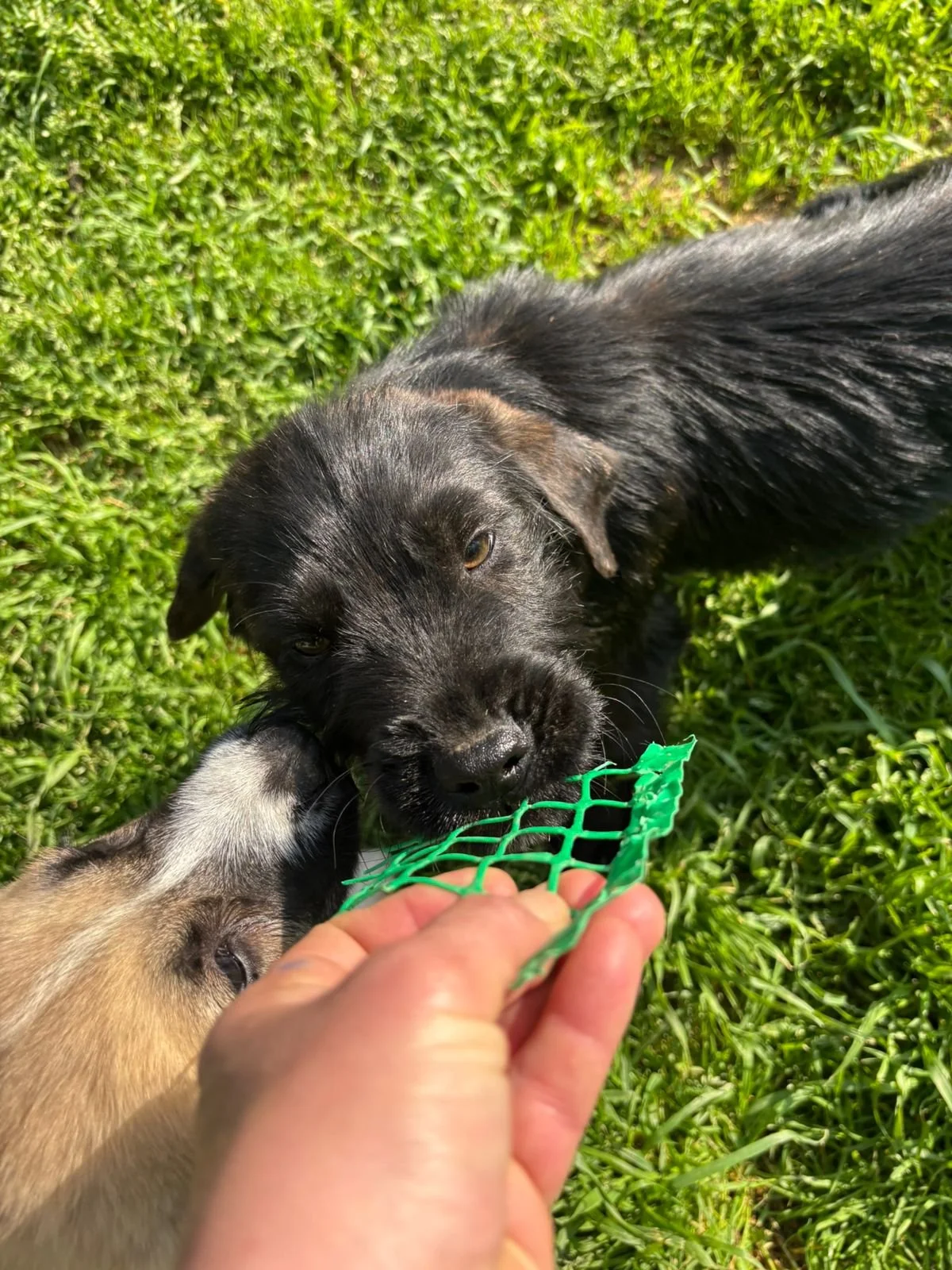 WhatsApp Image 2026-04-23 at 18.34.19.jpeg