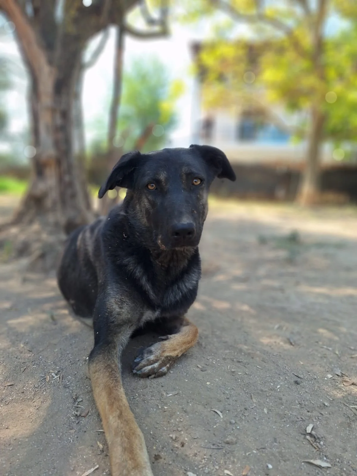 rita1.jpg