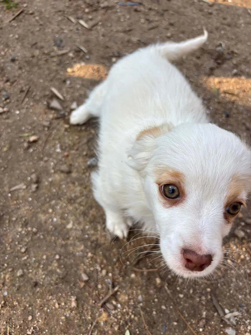 WhatsApp Image 2026-04-05 at 16.41.29 (3).jpeg