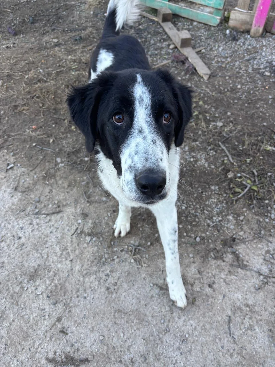 WhatsApp Image 2026-01-02 at 19.57.29.jpeg