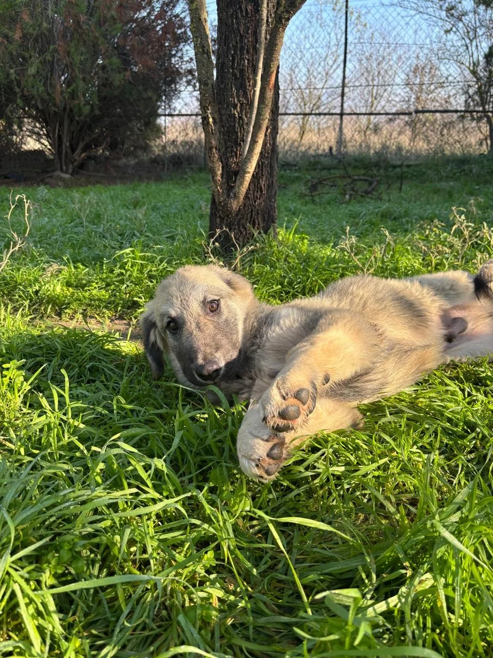 WhatsApp Bild 2025-12-12 um 17.23.09_f1b23776.jpg