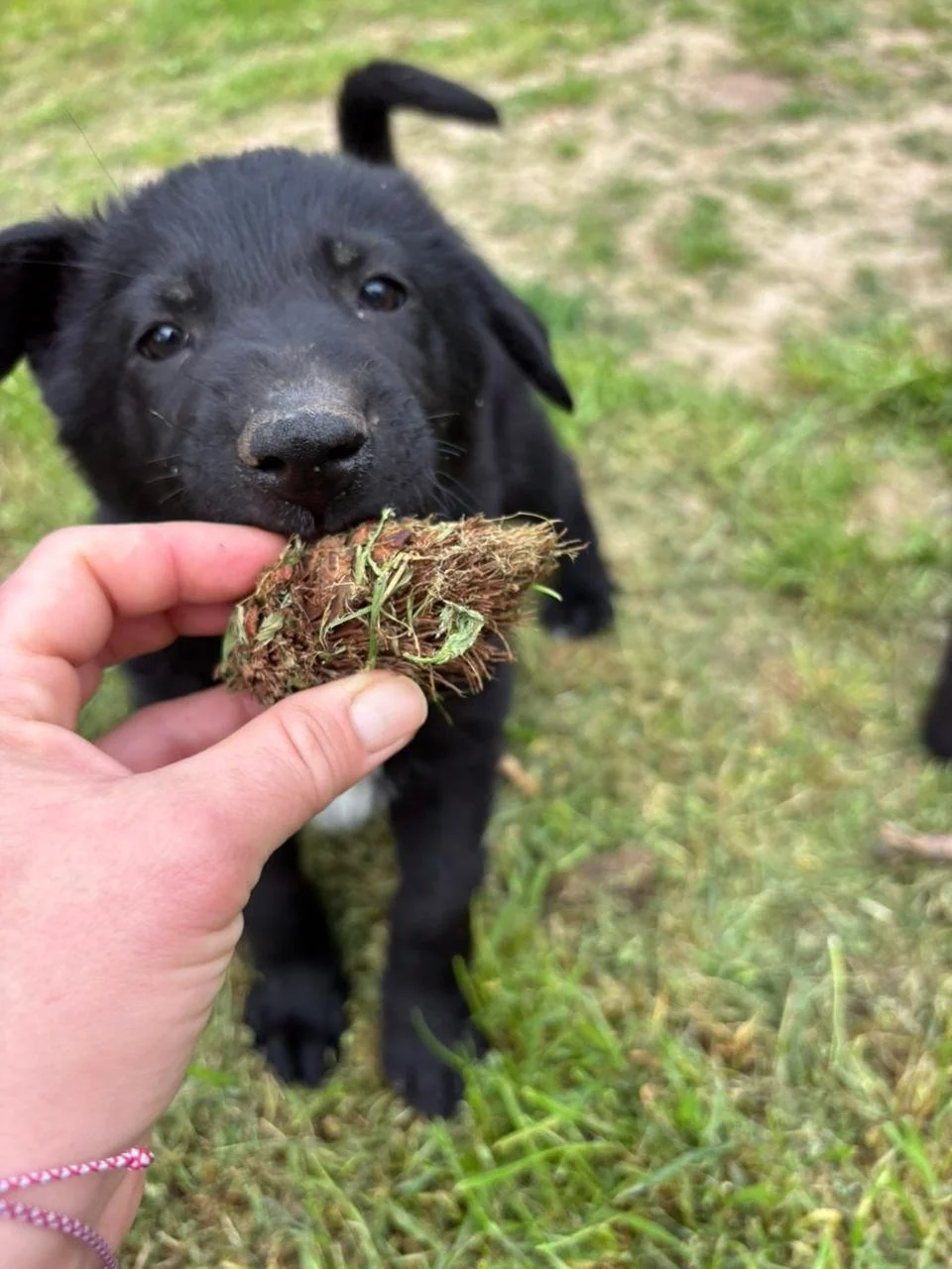 WhatsApp Image 2026-04-17 at 18.33.59.jpeg