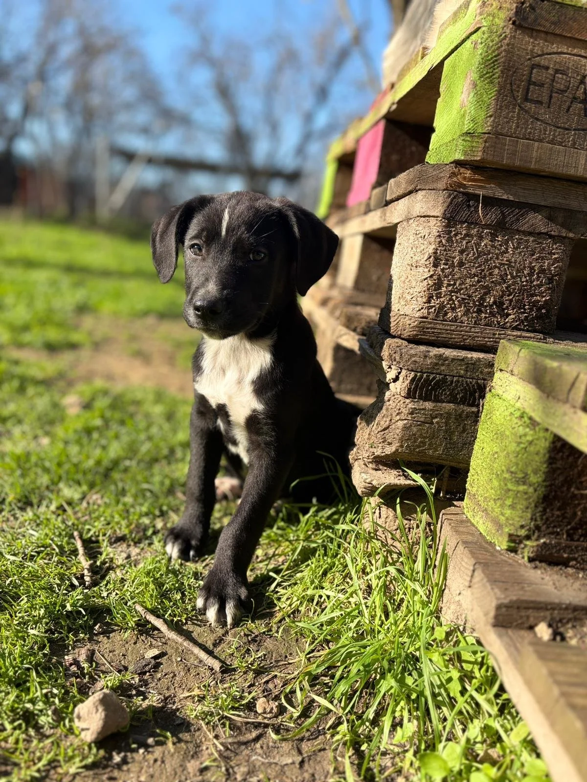 WhatsApp Image 2025-12-27 at 17.57.28.jpeg