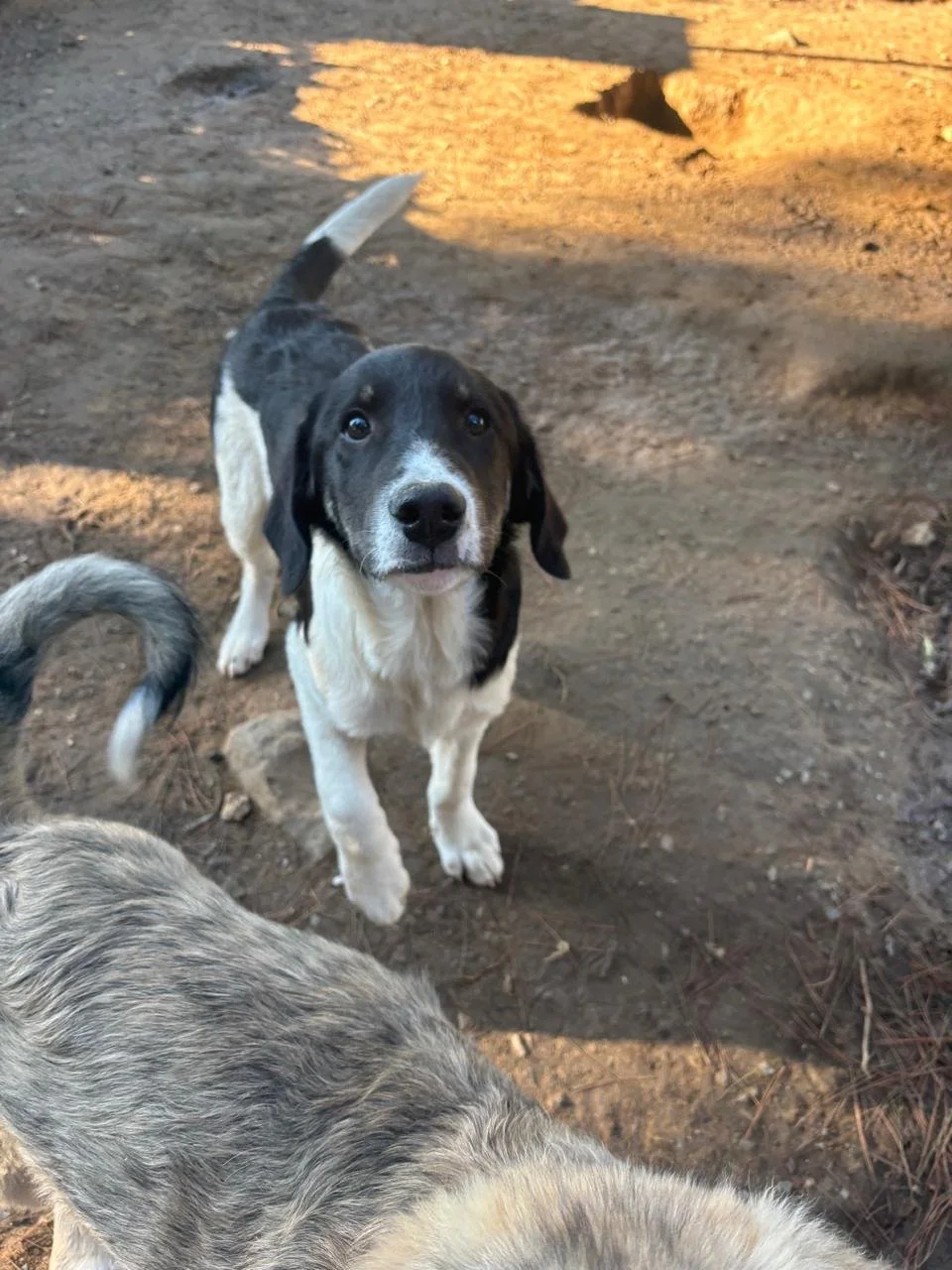 WhatsApp Bild 2025-12-09 um 13.40.42_c82ece16.jpg