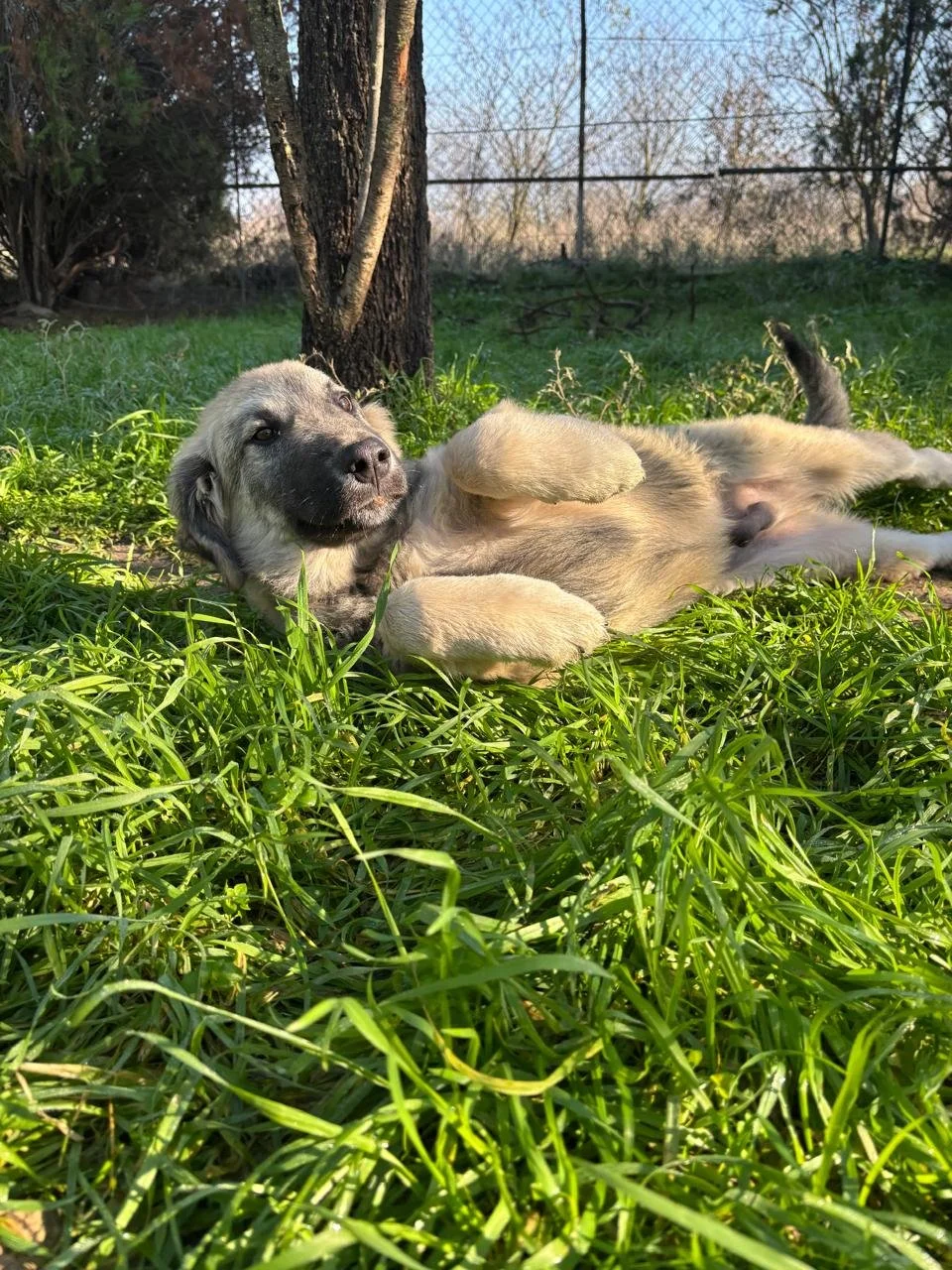 WhatsApp Bild 2025-12-12 um 17.23.08_151f83bb.jpg