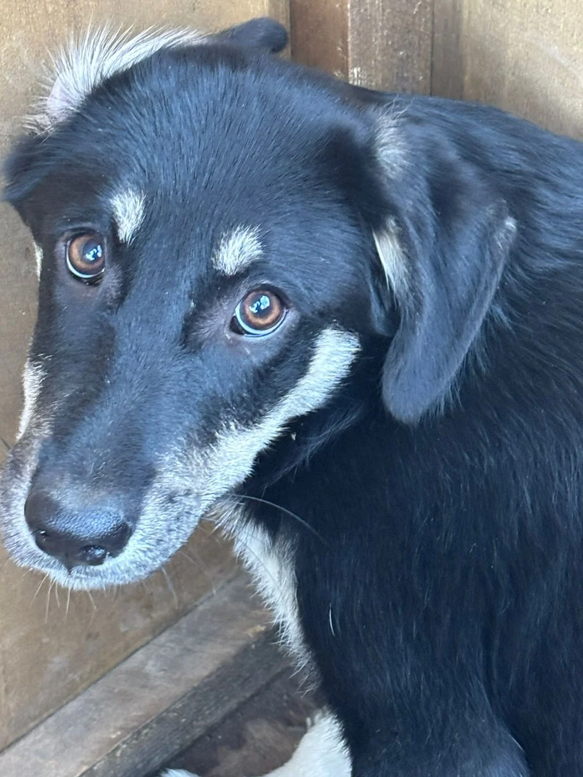 WhatsApp Bild 2025-12-09 um 13.38.34_185c0d20.jpg