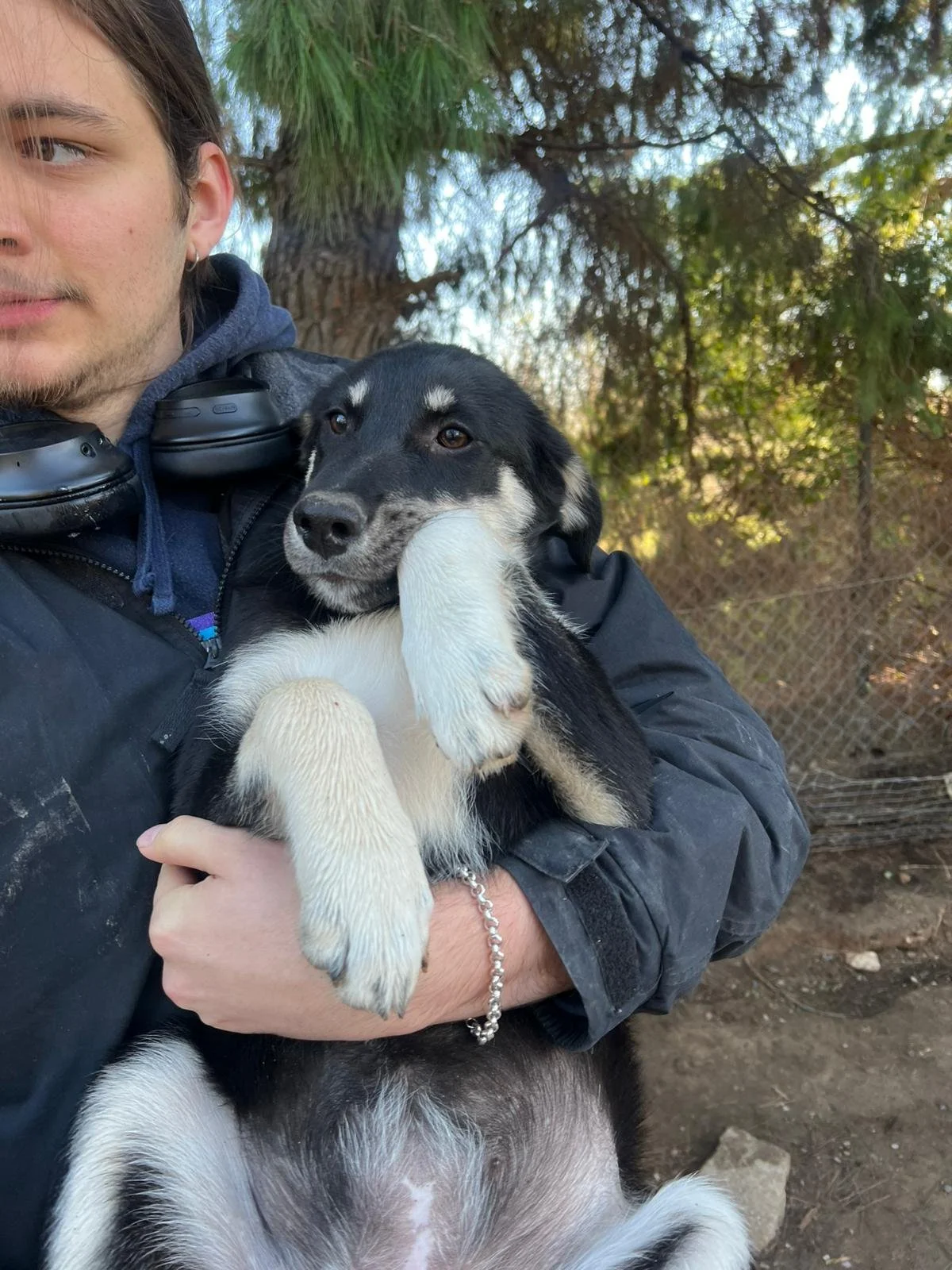 WhatsApp Bild 2025-12-01 um 10.14.26_558ef47f.jpg