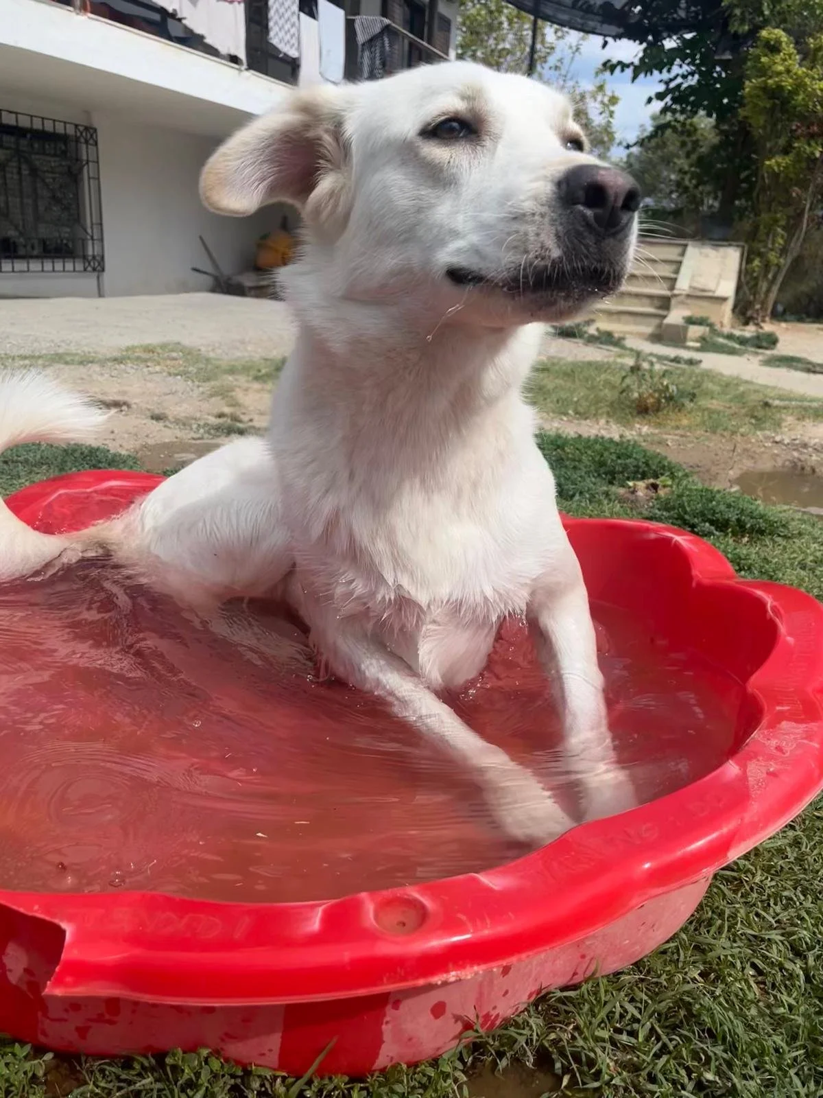 cloe4.jpg