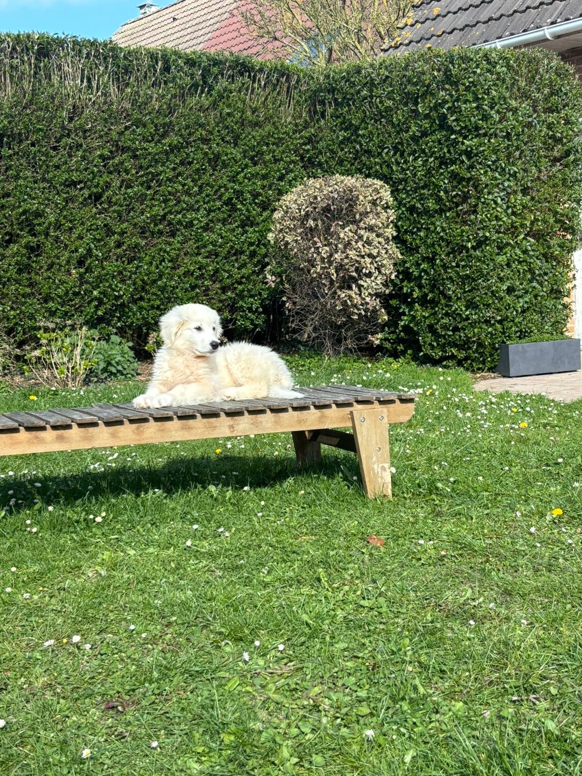polar.jpeg