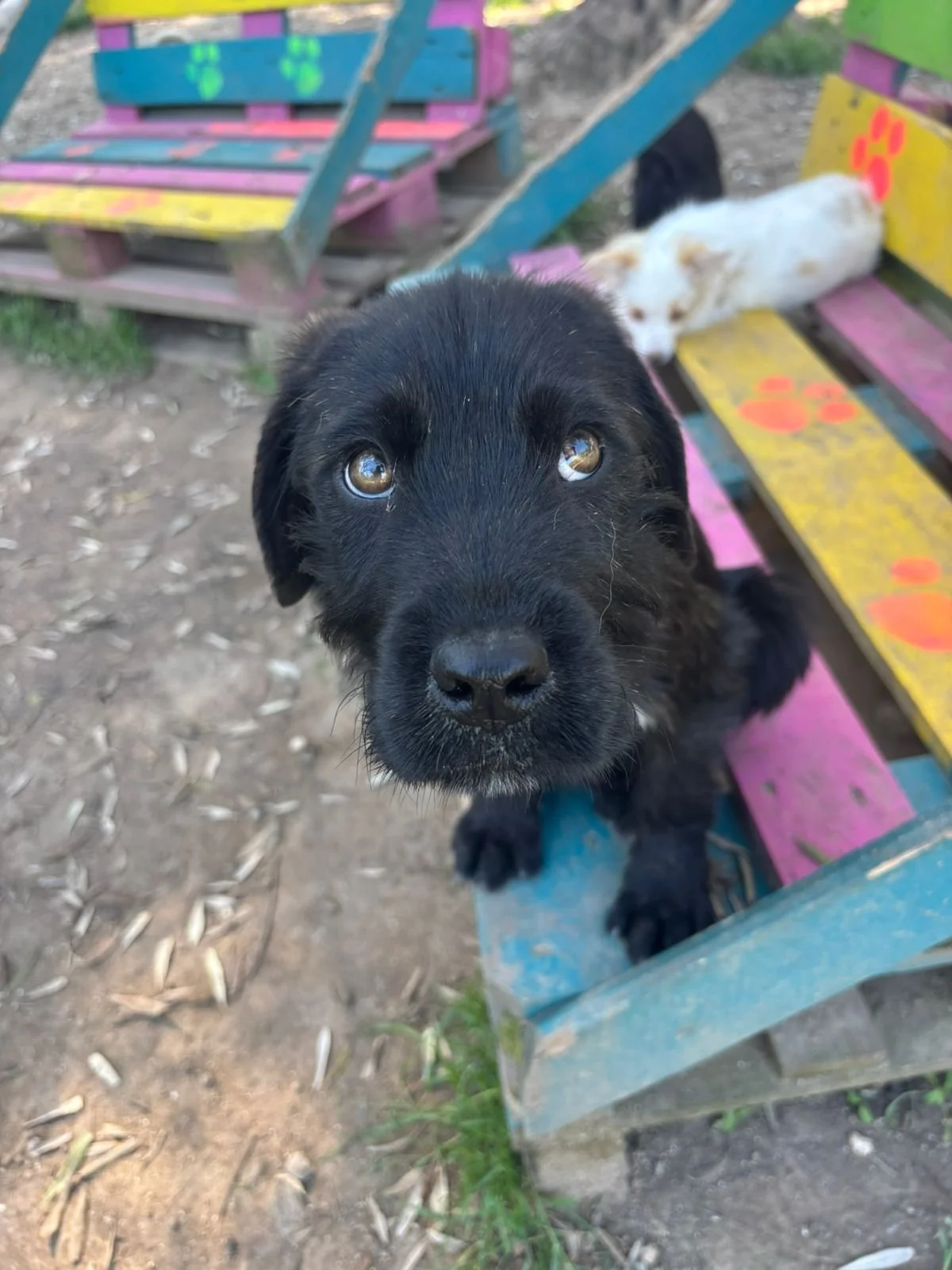 WhatsApp Image 2026-04-21 at 18.02.051.jpeg