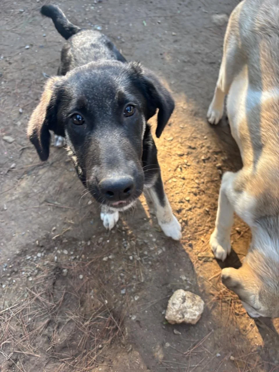 WhatsApp Bild 2025-12-09 um 13.38.15_f67e71e8.jpg