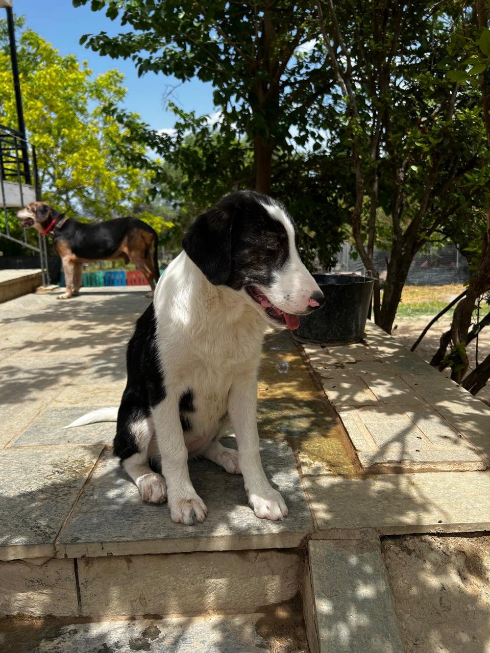 marlen9.jpg