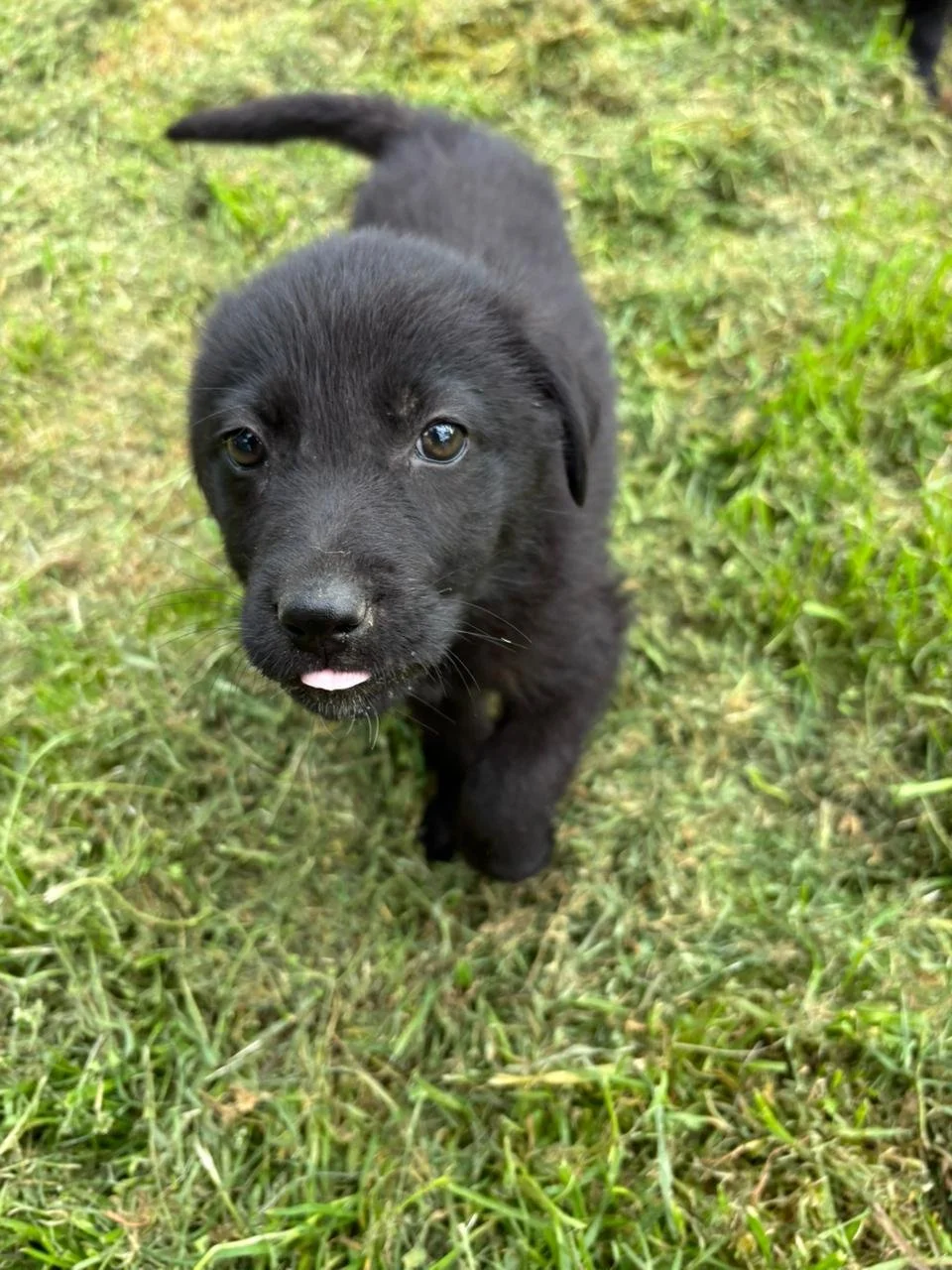 WhatsApp Image 2026-04-16 at 20.30.07.jpeg