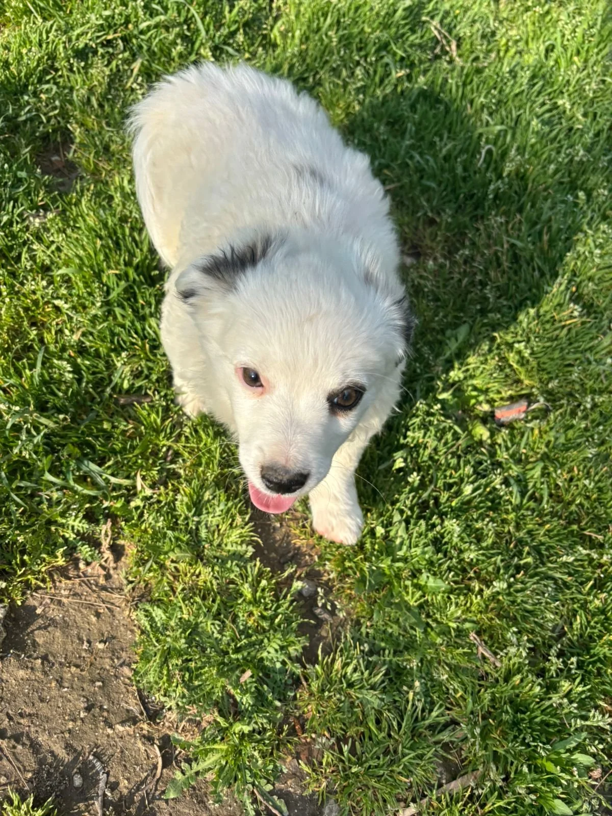 WhatsApp Image 2026-04-05 at 16.36.41.jpeg