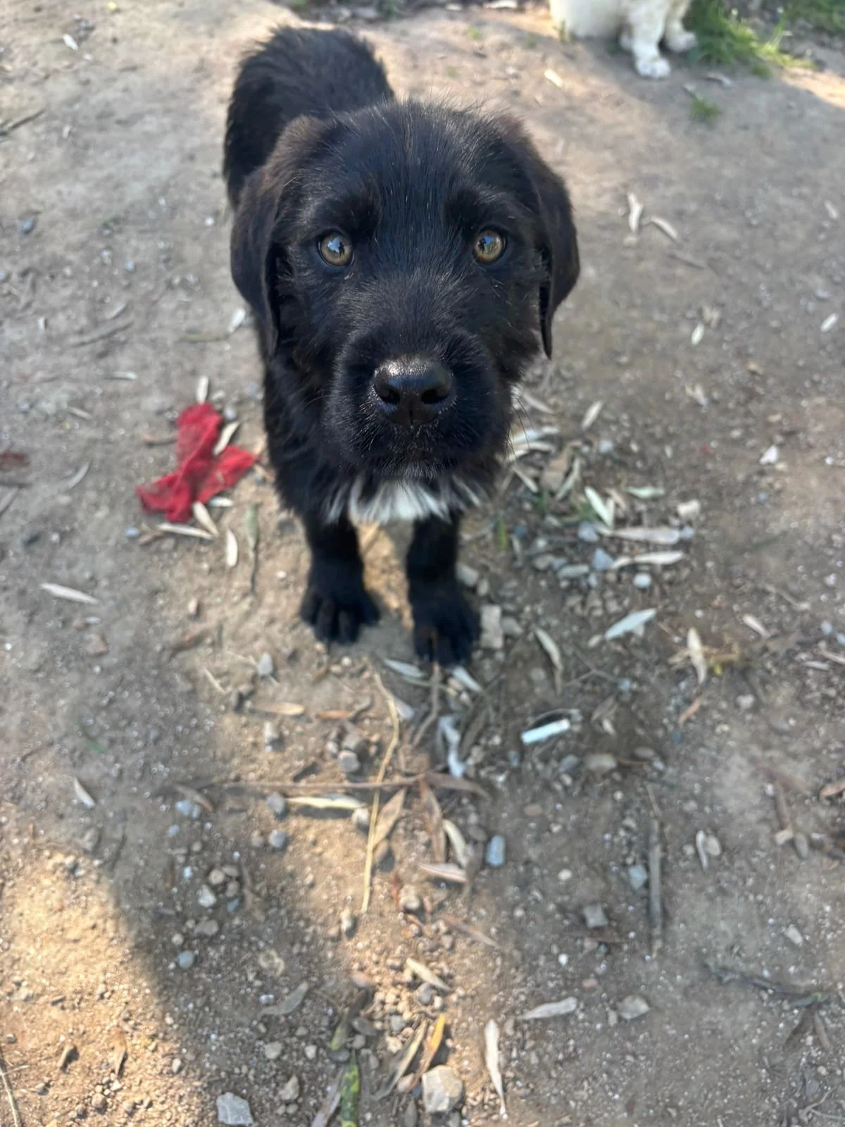 WhatsApp Image 2026-04-21 at 18.02.01.jpeg