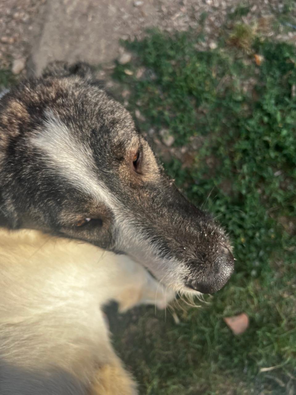 cesar4.jpg