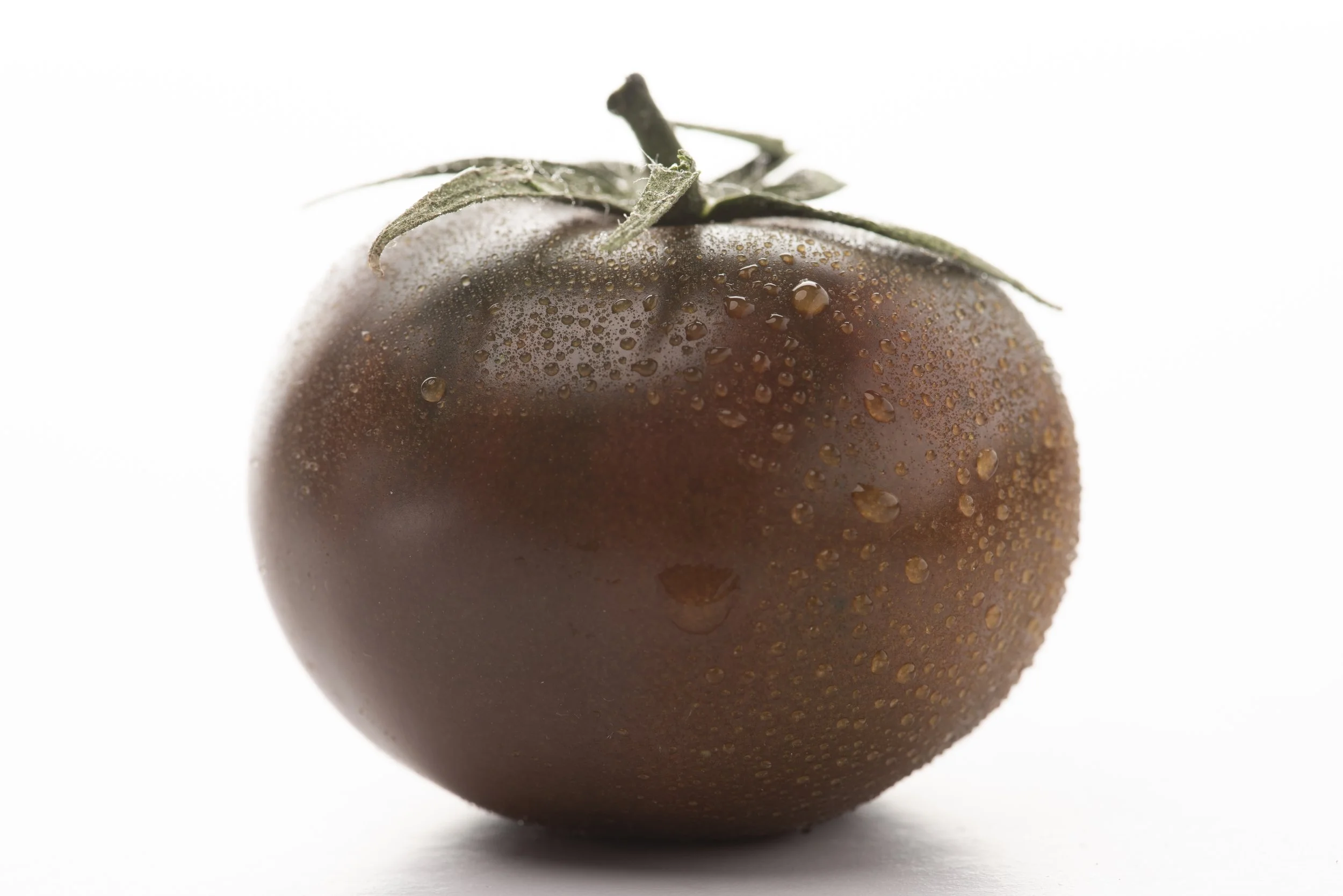 Eine Tomate mit Wassertröpfchen auf der Schale auf weißem Hintergrund.