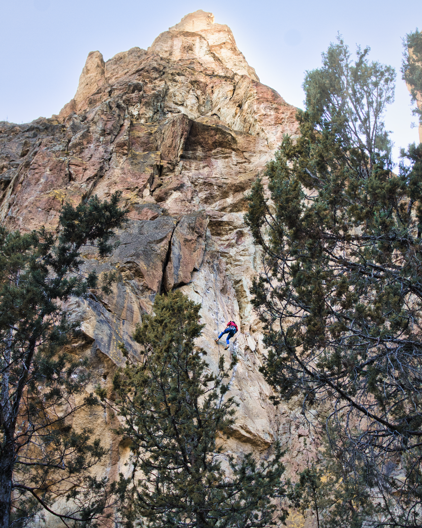 Screen Shot 2021-09-22 at 8.38.55 AM.png