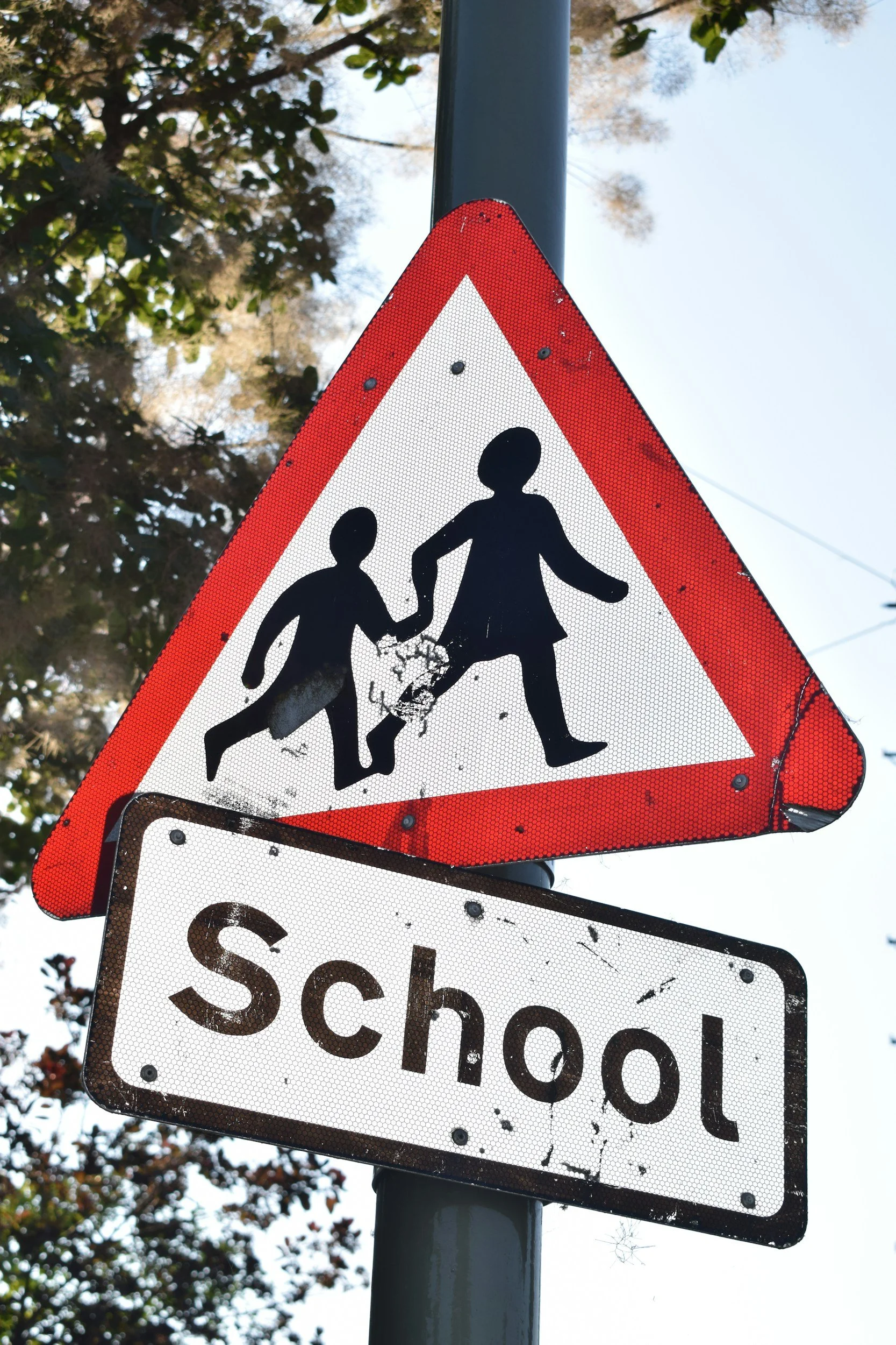 Back to School 