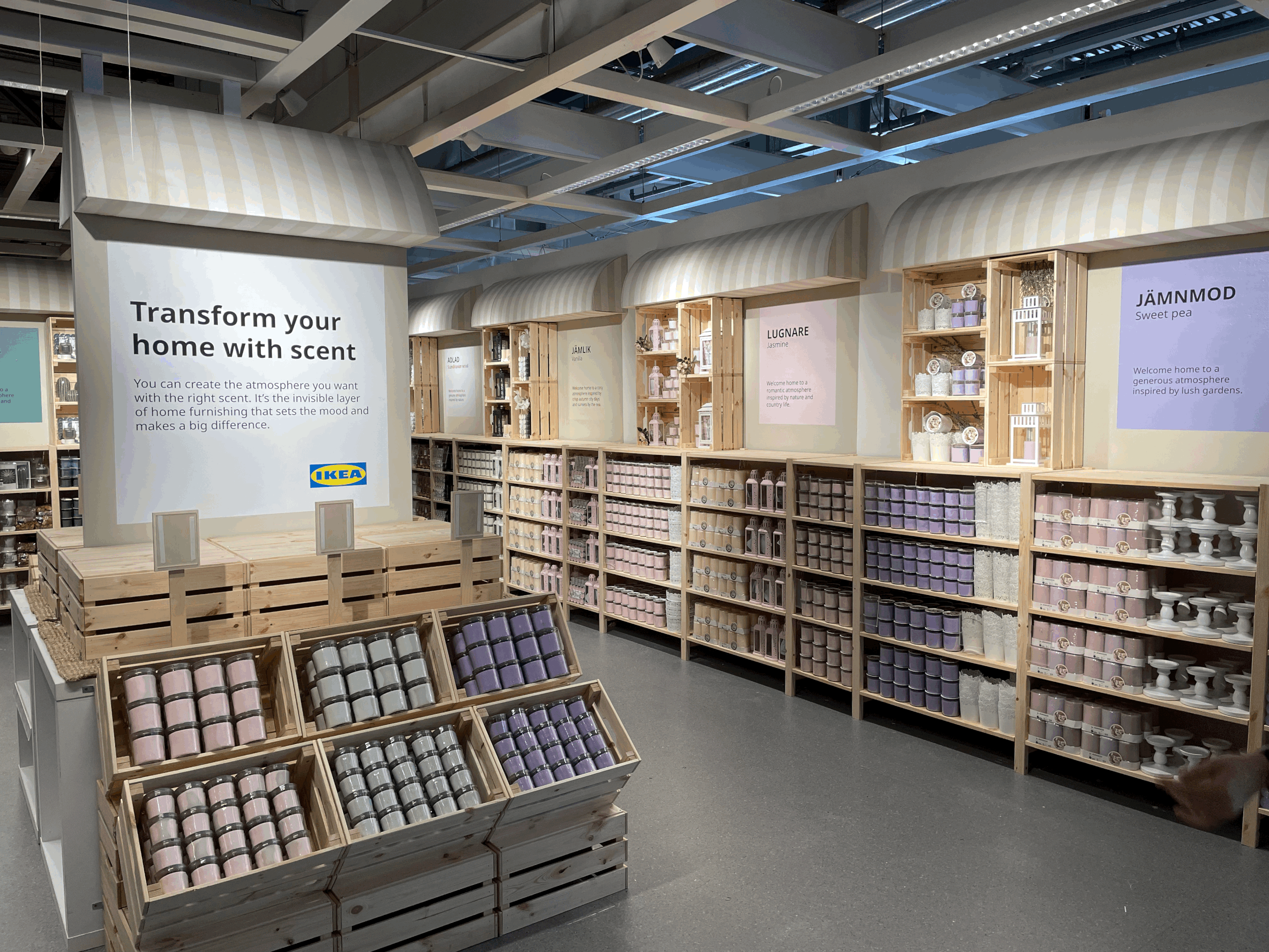 Candle Market Launch Area