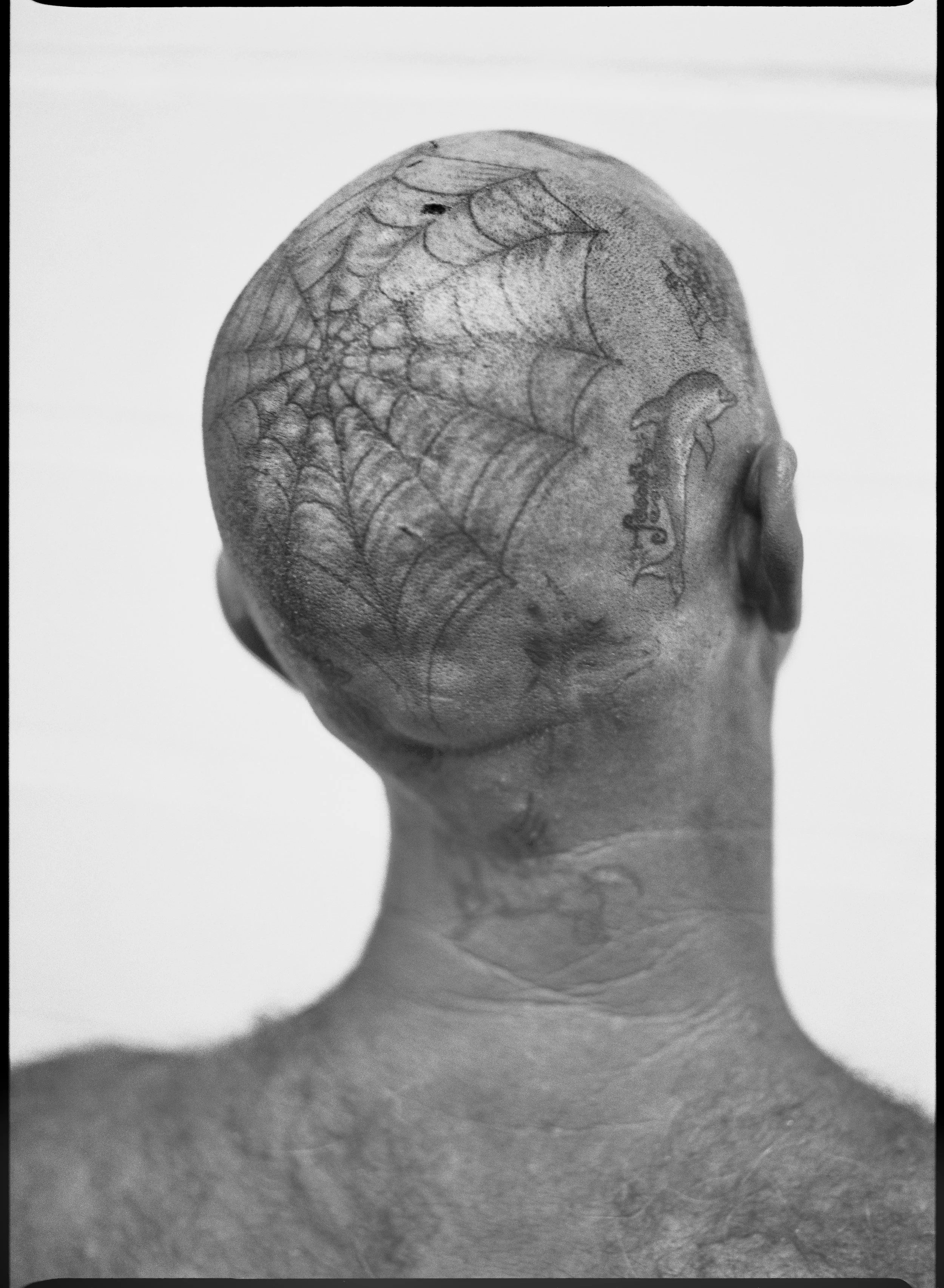 ameliatroubridge_frame RETOUCHED .jpeg