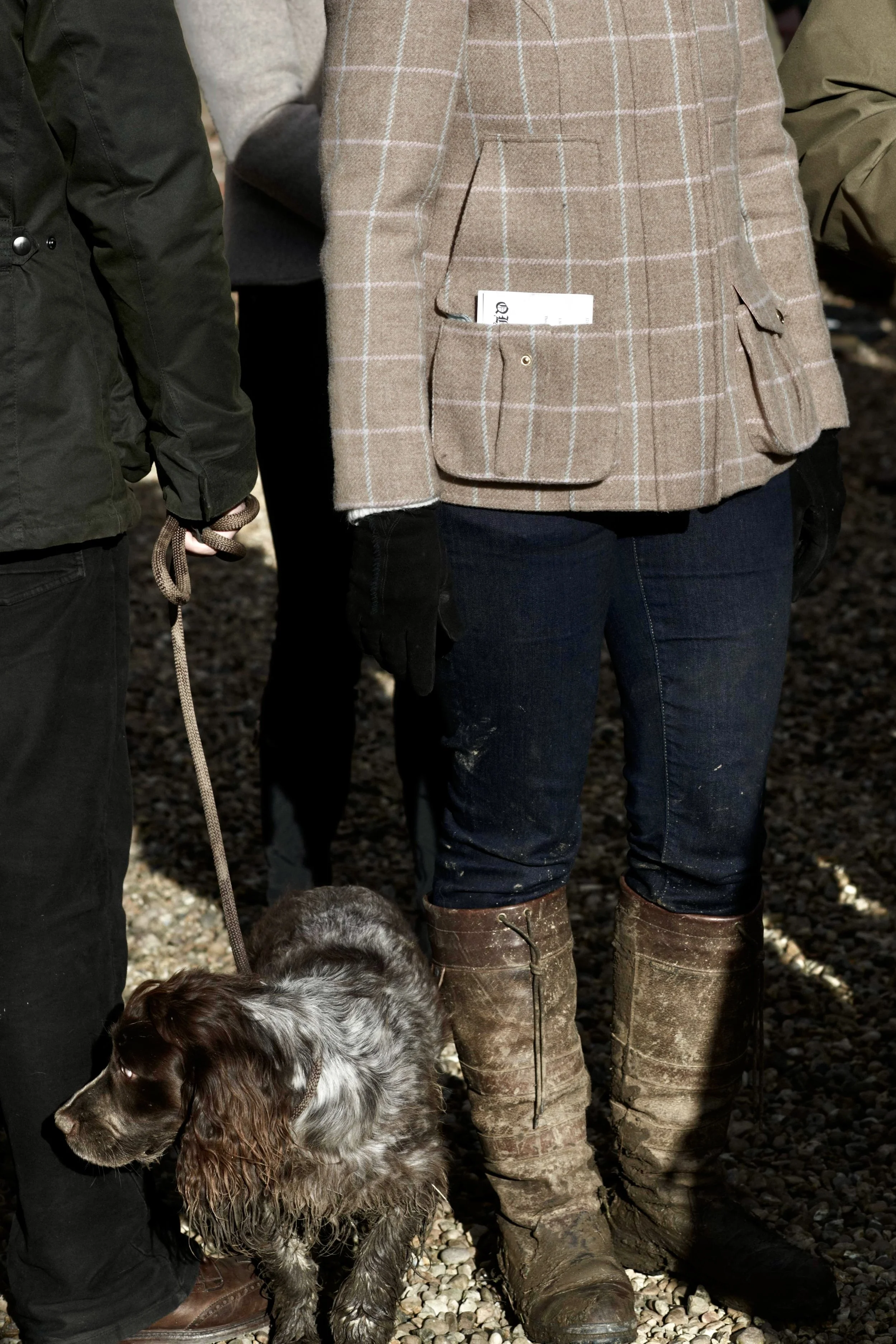 Tatler side saddle_705.jpg