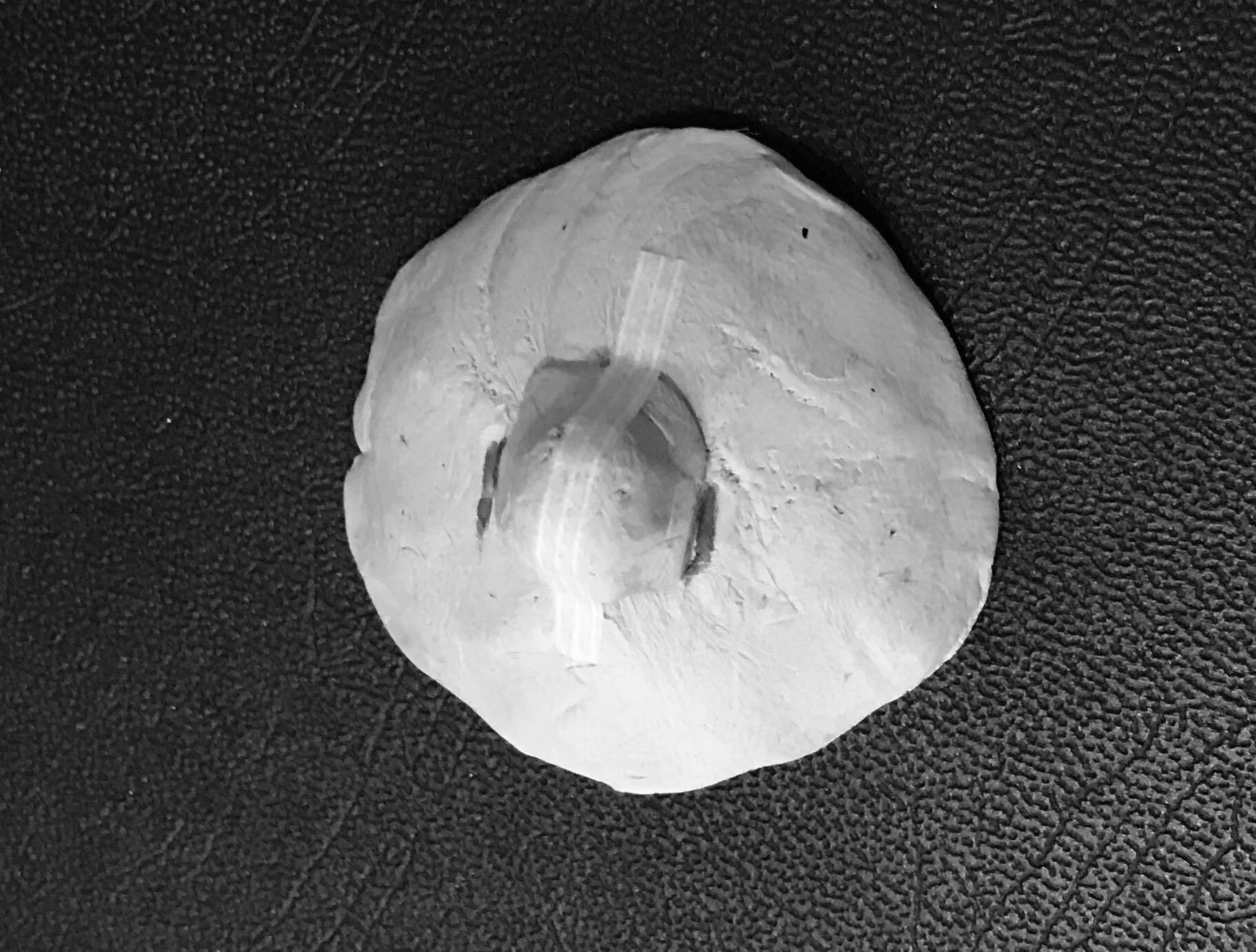 June 2019: I won’t ever get bored of making nipples out of blu tak. Working on marking up and needle angles this afternoon having finished ALL the extension work that I save for the super fast learners and completed all the piercing theory! Tomorrow 