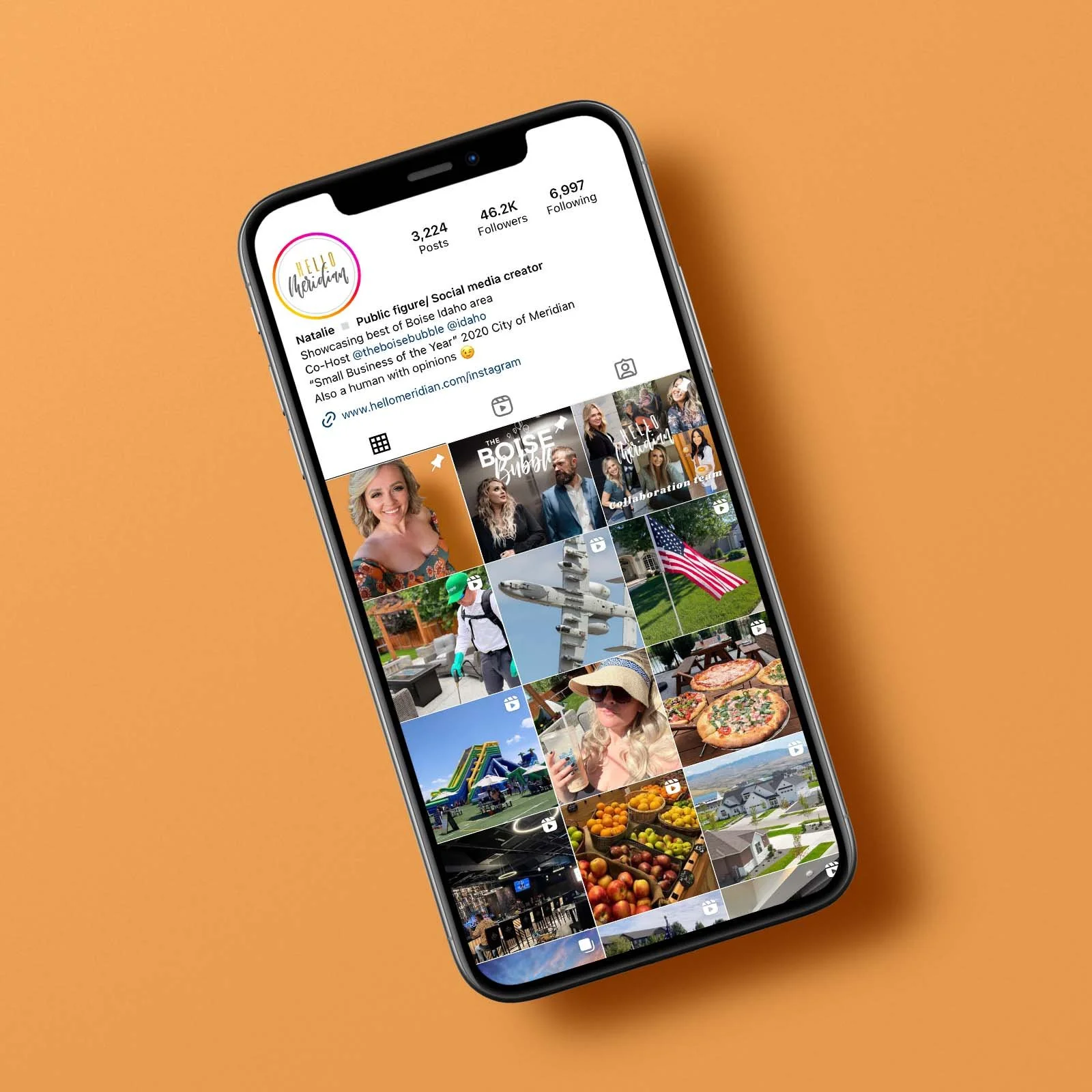 Influential Marketing Subscription Boise Idaho — Hello Meridian