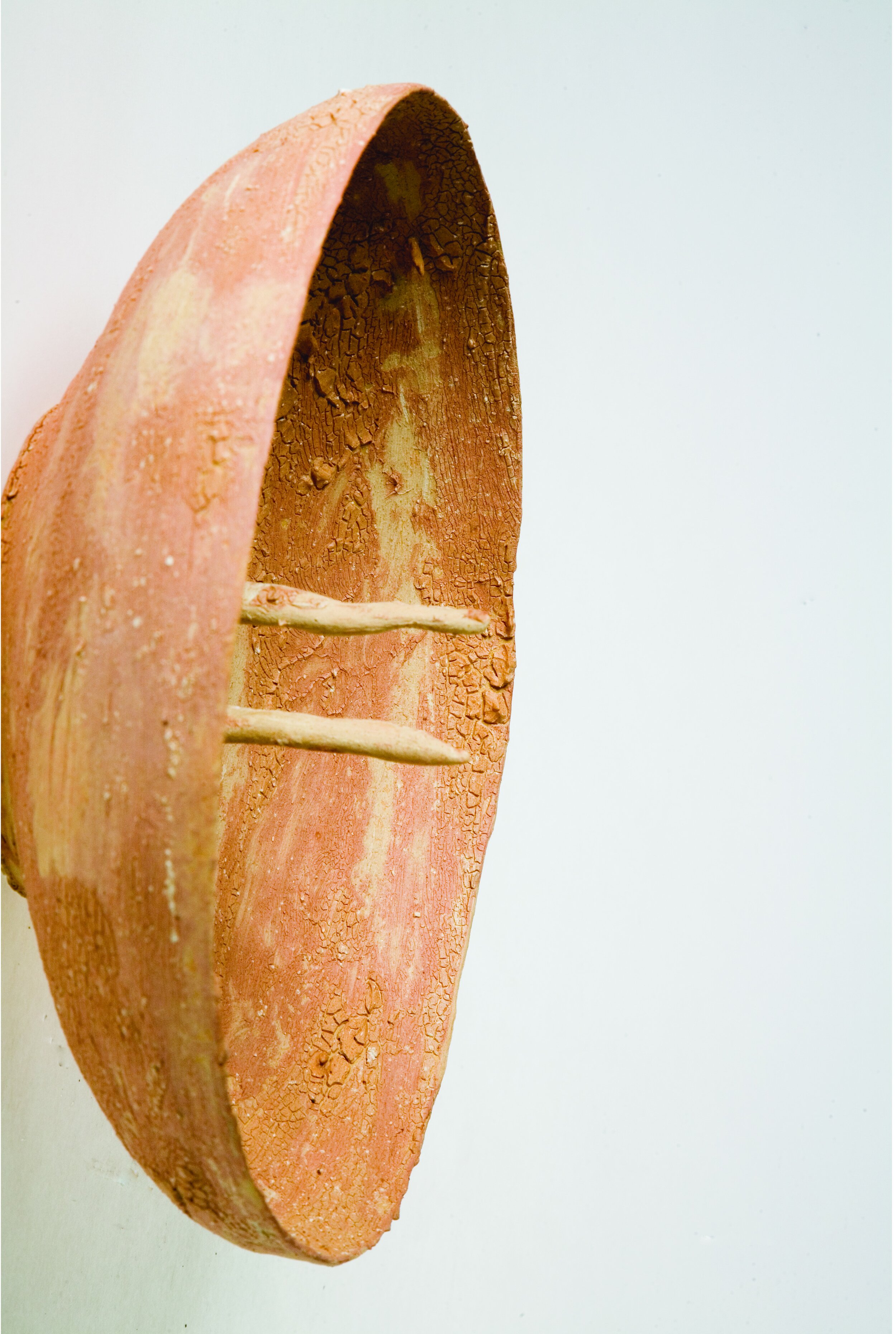 Agata Nowak. Ceramic plate with horns