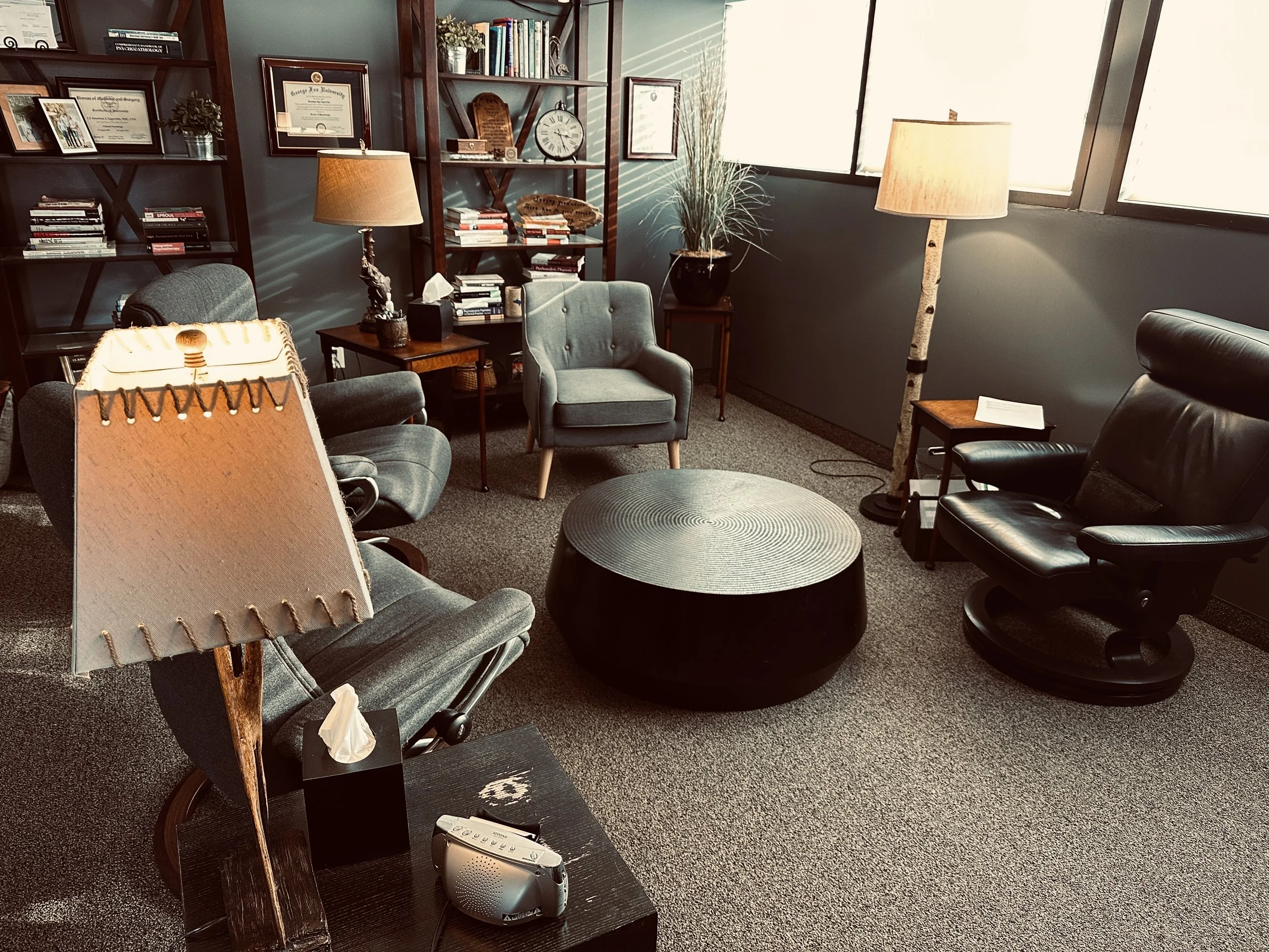 Modern therapy office