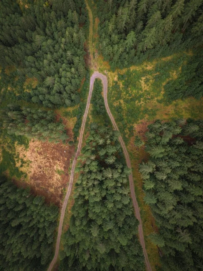 aerial view of forest with dirt road with fork in it encouraging you to take a different route for a mindful walk to help ease anxiety and promote flexible thinking