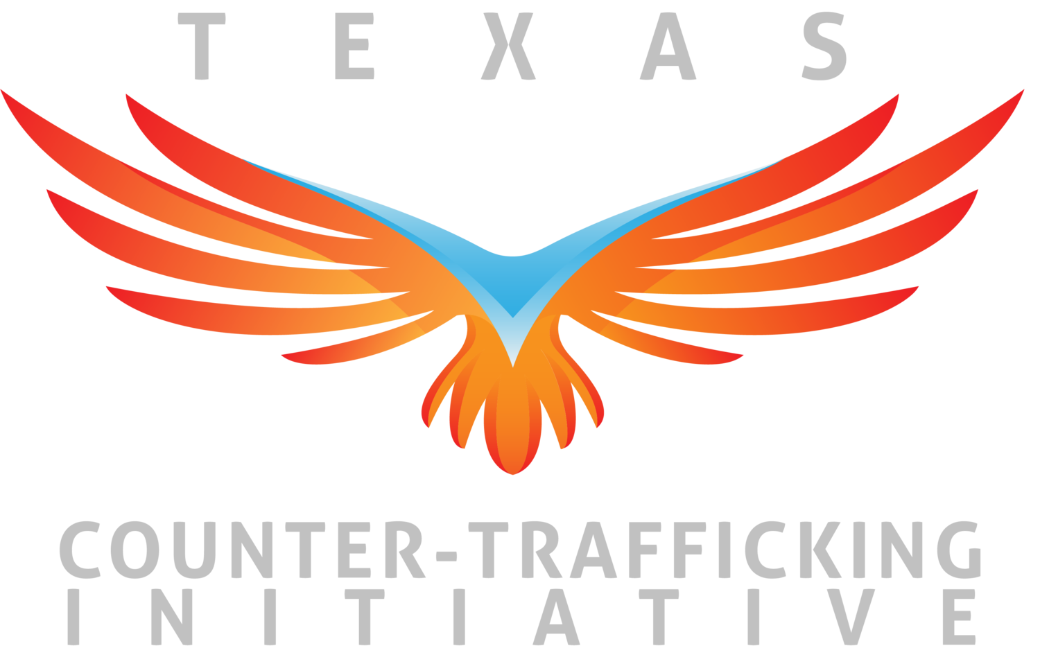 Texas Counter-Trafficking Initiative
