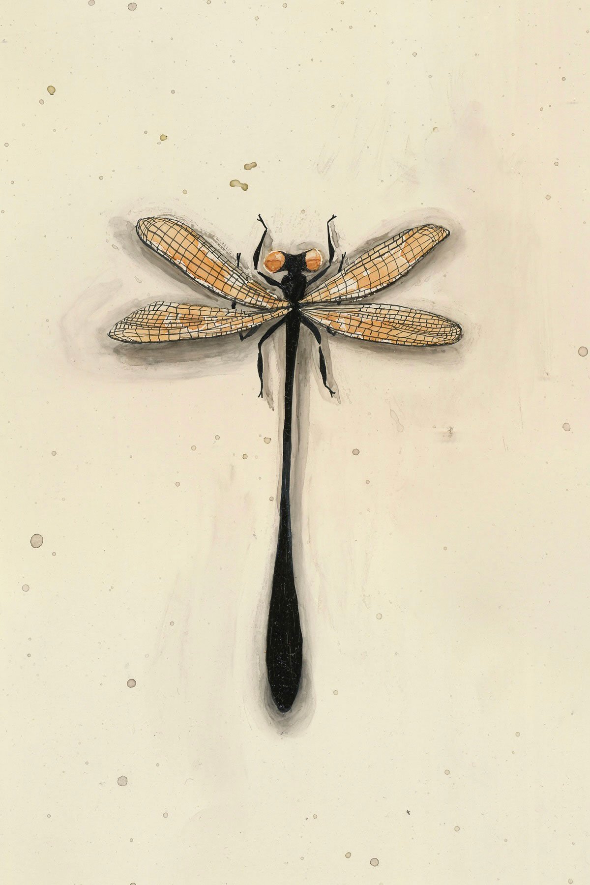 Spec.-7-Golden-Skimmer-(no-label).jpg