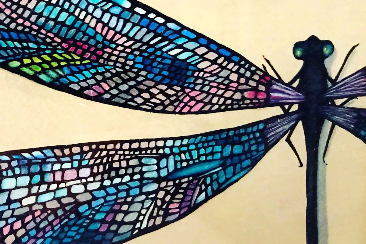 Specimen No. 062 The Chapel Winged Darner