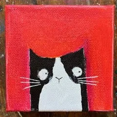 Original 4x4 inch acrylic painting of a black and white cat named Beetle with wide eyes and a surprised expression, set against a bright red background, hand-painted on canvas.
