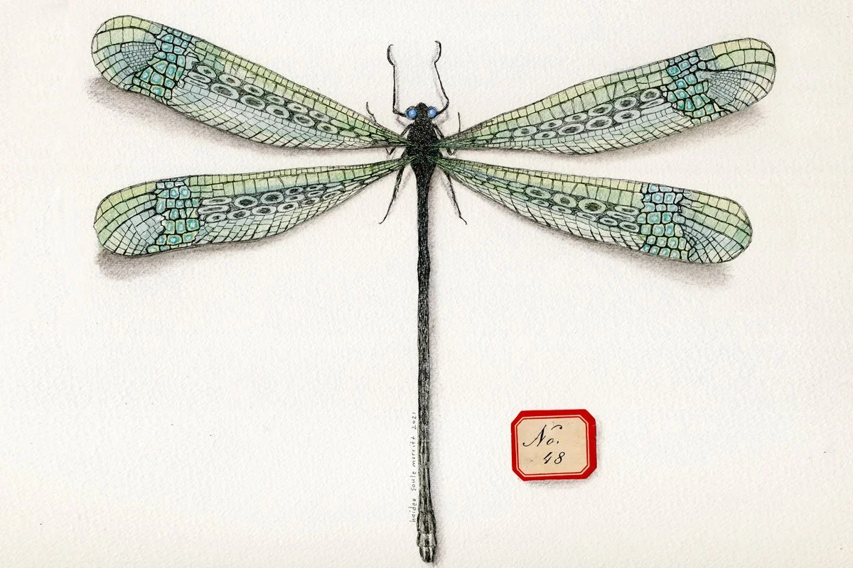 Spec. 48 Paperleaf Archivist