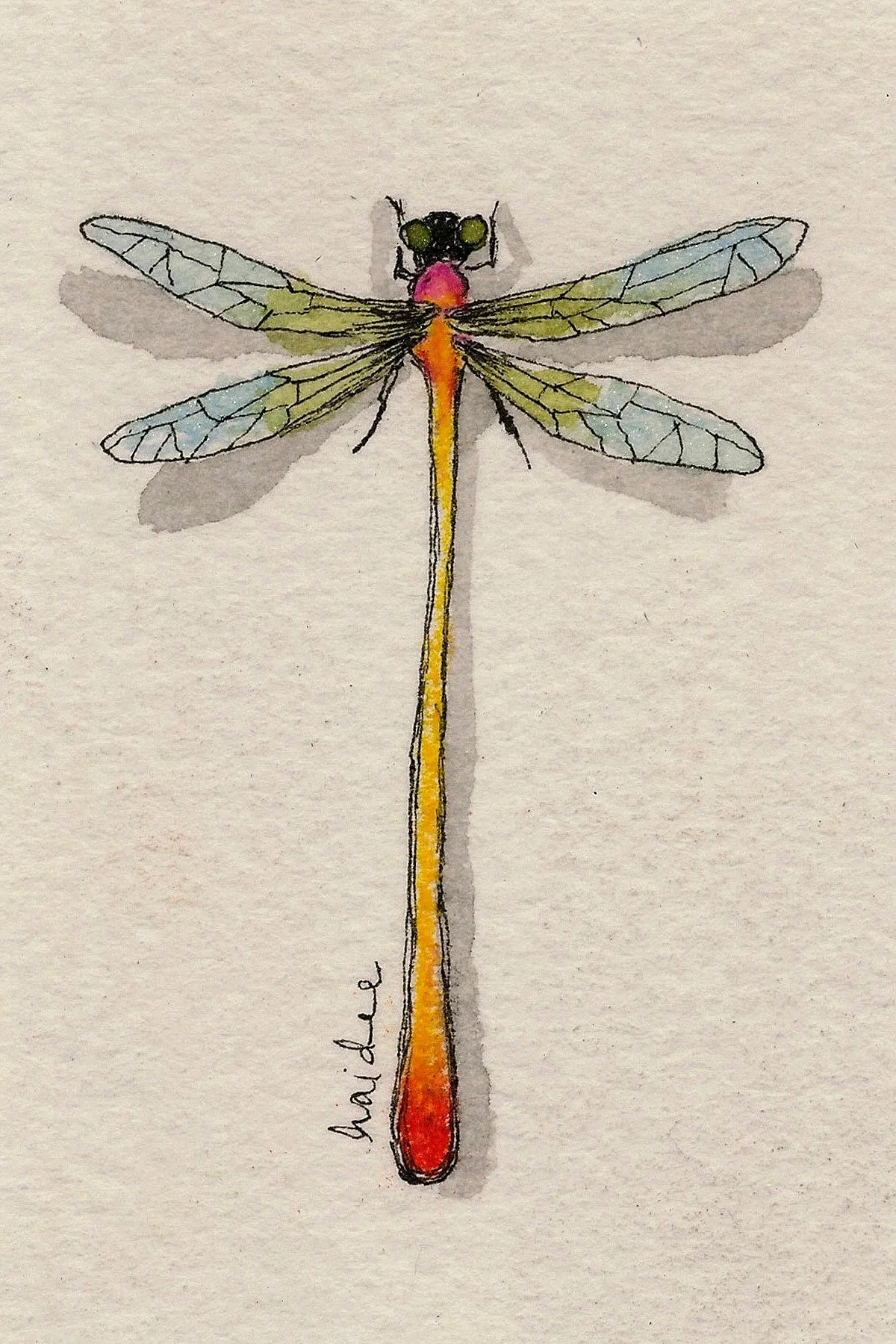 Specimen No. 14. Small Flame-Tipped Ribbon