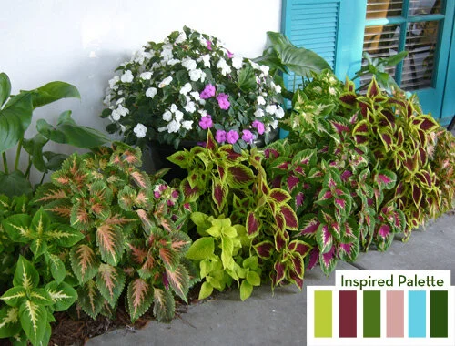 Choose a color palette!