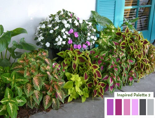 Color Palette 2