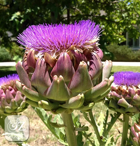 Very interesting article on color!