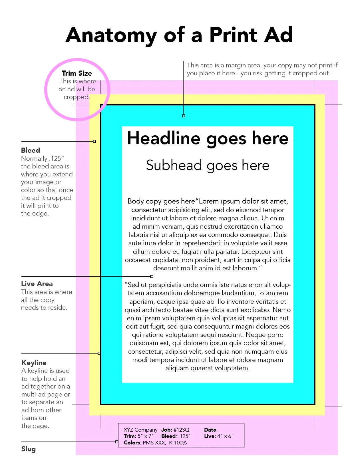The Anatomy of a Print Advertisement