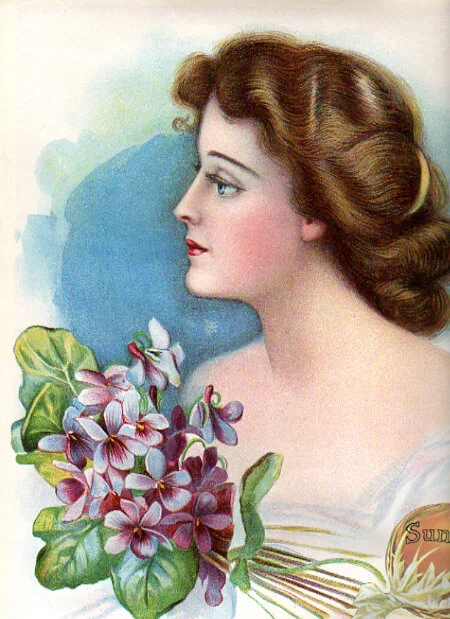 Beautiful Illustration