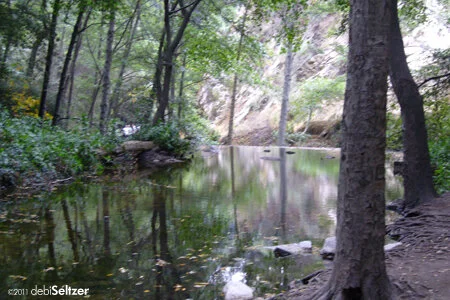 Scenes from a Labor Day hike to Chantry Falls