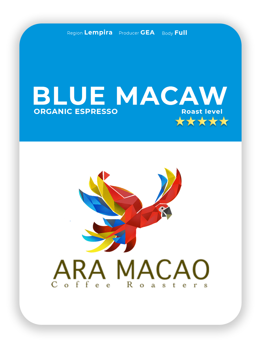 Blue Macaw Ara Macao Coffeee Roasters